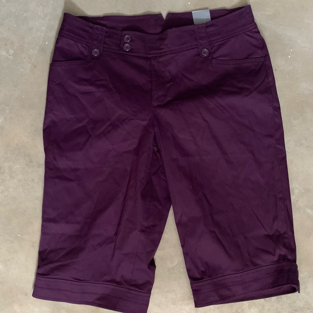 Lane Bryant Shorts